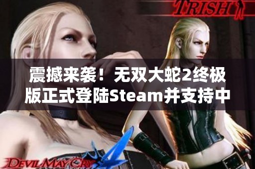 震撼来袭！无双大蛇2终极版正式登陆Steam并支持中文翻译