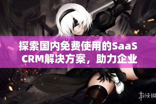 探索国内免费使用的SaaS CRM解决方案，助力企业管理提升效率