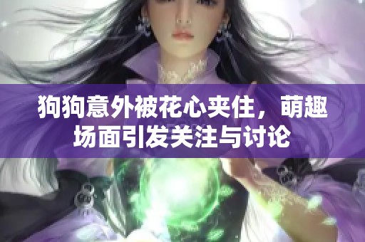 狗狗意外被花心夹住，萌趣场面引发关注与讨论