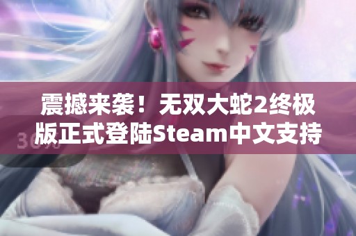 震撼来袭！无双大蛇2终极版正式登陆Steam中文支持